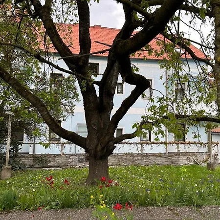 Appartement Ferienhaus Regina Buchboden